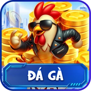 Đá Gà O8