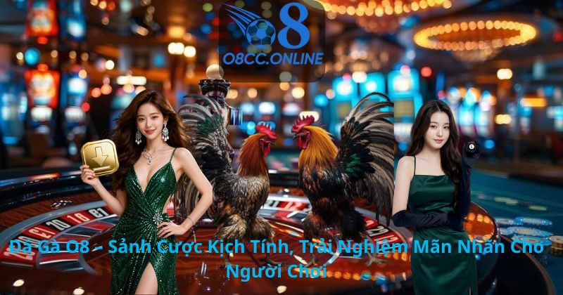 Đá Gà O8 – Sảnh Cược Kịch Tính, Trải Nghiệm Mãn Nhãn Cho Người Chơi